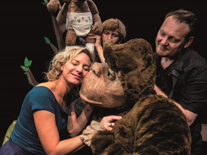 Gorillaen der var en gorilla 2015/2016